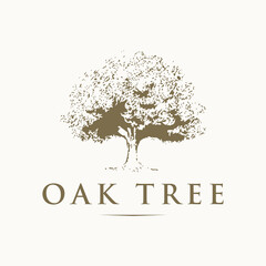 Oak tree logo design