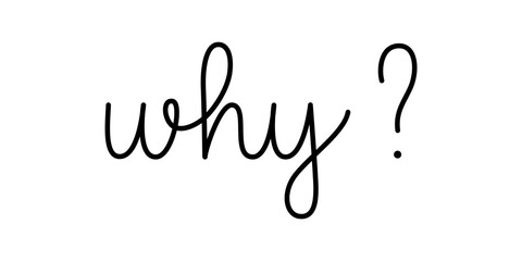 Wall Mural - why question phrase handwritten by one line. monoline vector text element isolated on white backgrou