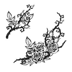 Wall Mural - Rose ornament tattoo by hand drawing.Beautiful flower on white background.Anne Harkness rose vector art highly detailed in line art style.Flower tattoo for paint or pattern.