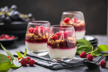 Raspberry Panna cotta or .parfait with raspberry jelly, Italian dessert, homemade cuisine. Copy space.