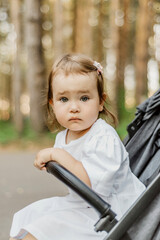 portrait of a small child a girl in a pram close up on the background of the Park