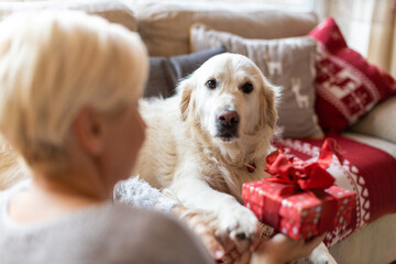 Wall Mural - Woman and her dog enjoying Christmas together at home 
