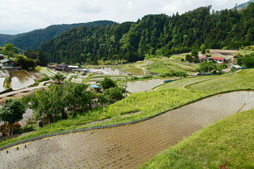 Canvas Print - 平林の棚田（富士川町）