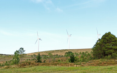 Wall Mural - Wind energy generator turbines in a meadow