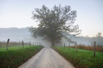 Wall Mural - Great Smoky Mountains National Park