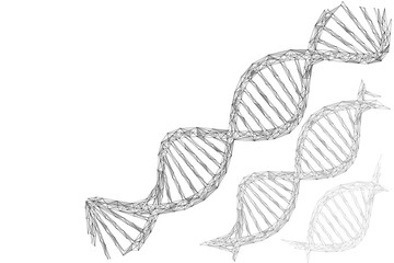 The helix of the DNA cell. Low-poly cellular structure. Frame design of connected lines and points.