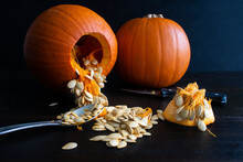 Seeding A Sugar Pie Pumpkin: Seeding Two Small Pumpkins To Make A Jack-o-lantern And Pumpkin Pie