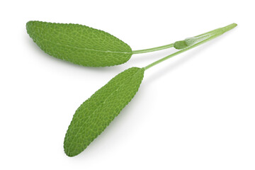 Sage herb leaves isolated on white background with clipping path . Top view. Flat lay