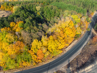 Aerial overhead top down bird eye drone view of asphlat rural country road winding over beautiful green to golden yellow foliage tree woods at day time fall autumn season. Nature trip and travel