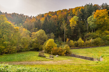 Canvas Print - Fantastic autumn hike along the Aachtobel to the Hohenbodman observation tower