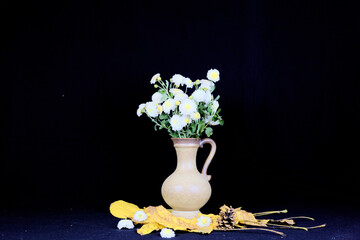 Wall Mural - Beautiful shot of fresh flowers on the wase with black background