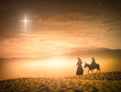 © Choat - Nativity scene silhouette of Mary and Joseph journey to Bethlehem with donkey under star