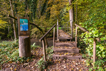 Canvas Print - Fantastic autumn hike along the Aachtobel to the Hohenbodman observation tower