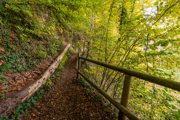 Wall Mural - Fantastic autumn hike along the Aachtobel to the Hohenbodman observation tower