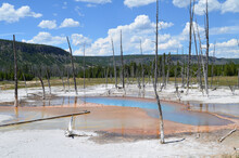 Beautiful Scenery Of The Fountain Paint Pot In Yellowstone, Wyoming