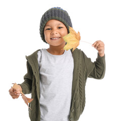 Poster - Cute African-American boy with autumn leaves on white background