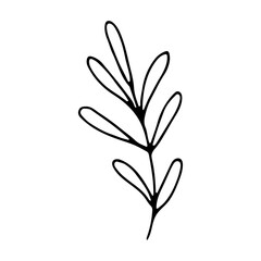 Wall Mural - floral flower hand drawn doodle icon for social media story. Cute single hand drawn herbal element