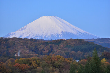 Poster - 紅葉の先の富士山