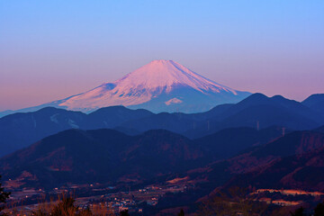 Poster - 早朝の朝日を浴びた富士山