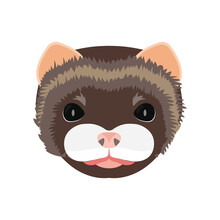 Mink Muzzle In Flat Style. Mink Isolated On A White Background. Vector.