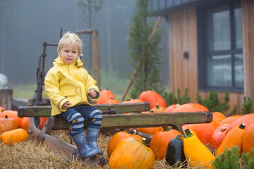 Poster - Cute blond toddler child, boy, playing in the rain with umbrella on a foggy autumn day