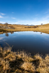 Small lake for cows in Lessinia Plateau Regional Natural Park, Corno d'Aquilio. In the background the Monte Baldo (Baldo Mountain). Verona Province, Veneto, Italy, Europe.