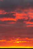 Fototapeta Niebo - Wonderful November sunset with bright red-pink clouds on a dark gray-blue sky
