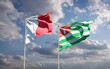 Beautiful national state flags of Malta and Abkhazia.