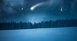 Sternschnuppe in einer  Kalten Winternacht im Wald