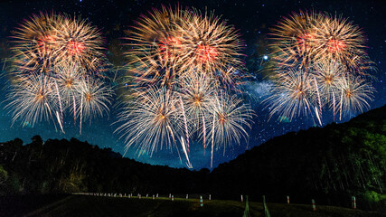 Wall Mural - Colorful of fireworks display  on sky background, for New Year, party or any celebration event