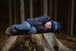 © Yulia Raneva - A close up portrait of cute little caucasian boy pretending sleeping, cuddling on big stub in a forest.