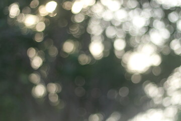 Wall Mural - Blur bokeh green bokeh abstract light background Blurred nature background. with color and bright sun light. 