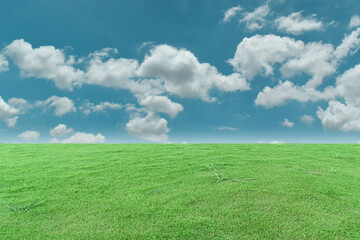 Green grass field and blue sky with white clouds. Beautiful natural meadow landscape