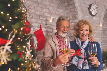 Wall Mural - Senior couple drinking wine by the Christmas tree