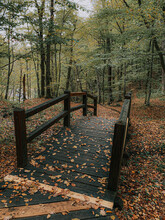 Vertical Shot Of An Old Wooden Bridge In An Autumn Park