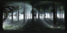 Trees In The Fog. Environment Map. HDRI Map. Equidistant Projection. Spherical Panorama. Landscape
