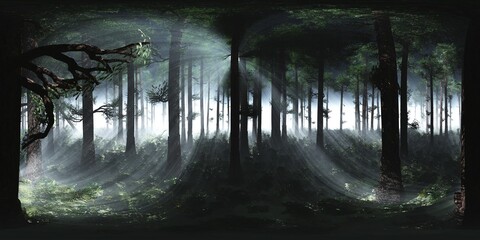 Trees in the fog. Environment map. HDRI map. equidistant projection. Spherical panorama. landscape
