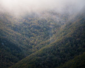 Wall Mural - Fog covered forested slopes show early autumn hues