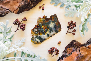 Wall Mural - Sagenitic Agate with Dusty Miller and Natural Elements