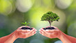 Environmentalists' hands holding big trees and seedlings to replace each other. World Environment Day concept.