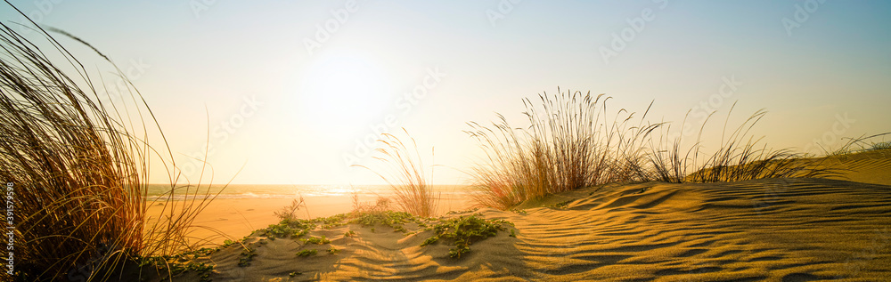 Remote beach at sunset - obrazy, fototapety, plakaty 