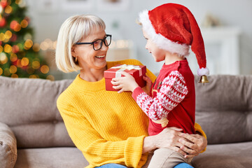 happy family grandson gives a cheerful smiling grandmother a Christmas gift.