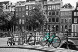 Fototapeta Do przedpokoju - An azure bike on the streets of Amsterdam. Symbol for clean and ecological urban transport. Isolated in a black and white background. 
