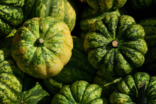 Background Of Several Green Pumpkins Lying Next To And On Top Of Each Other.