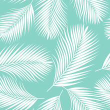 White And Blue Tropical Palm Leaves Texture