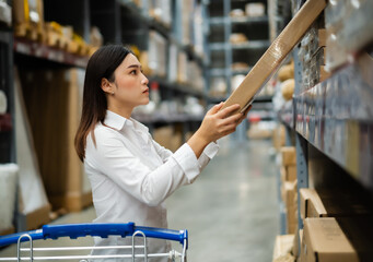 Wall Mural - woman looking and shopping in warehouse store