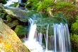 Clean water cascade at fresh pure natural green forest enviroment mossy rock background freshness concept brook