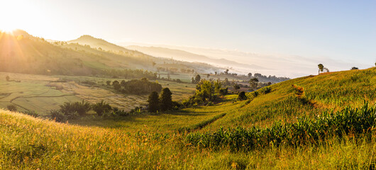  Spring rural landscape, Panoramic view of a picturesque valley in the morning light. Fog,