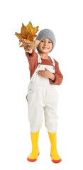 Poster - Cute African-American boy with autumn leaves on white background