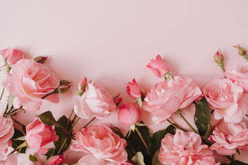 Pink rose flowers bouquet on pink background. Flat lay, top view minimal floral composition.